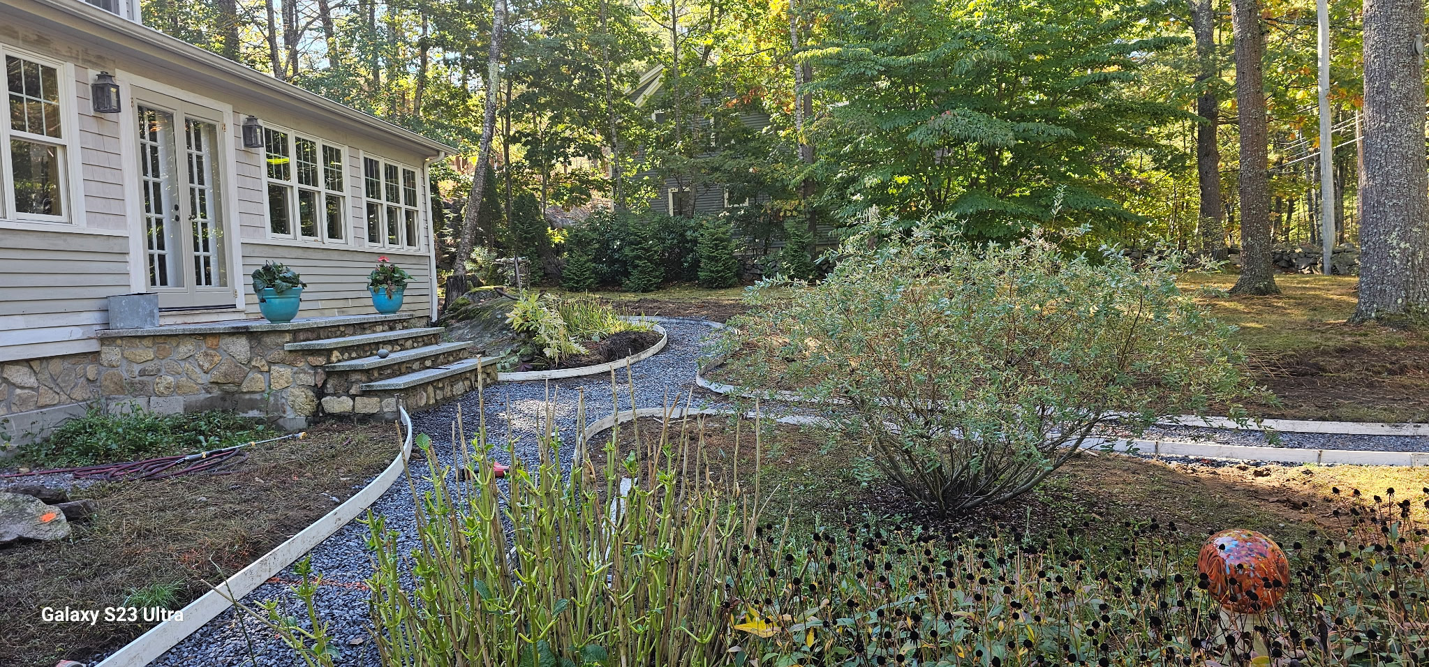 Curved concrete garden path with landscaping